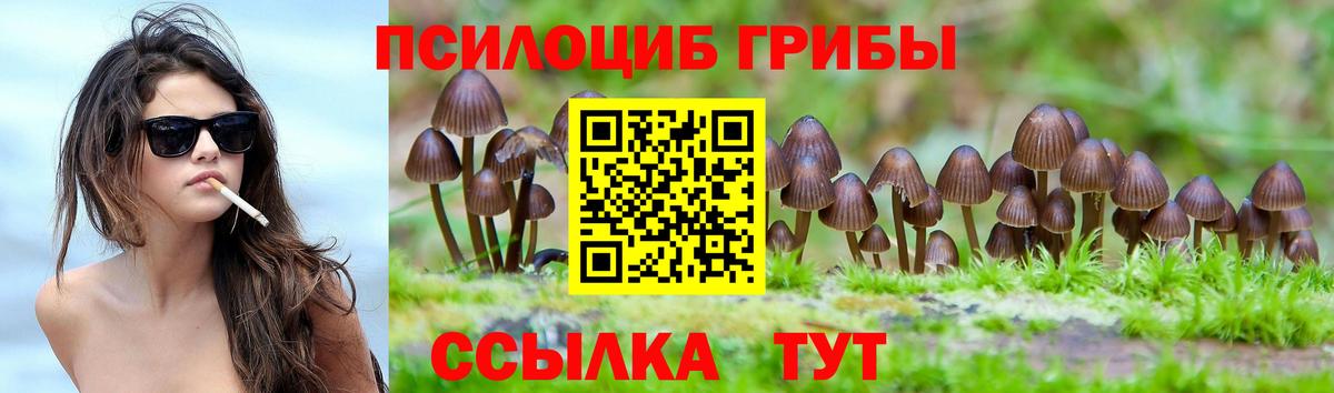 Псилоцибиновые грибы Cubensis Лесозаводск